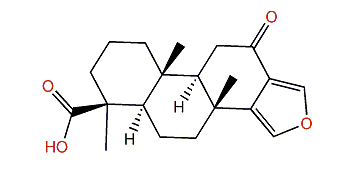 Ceylonin G